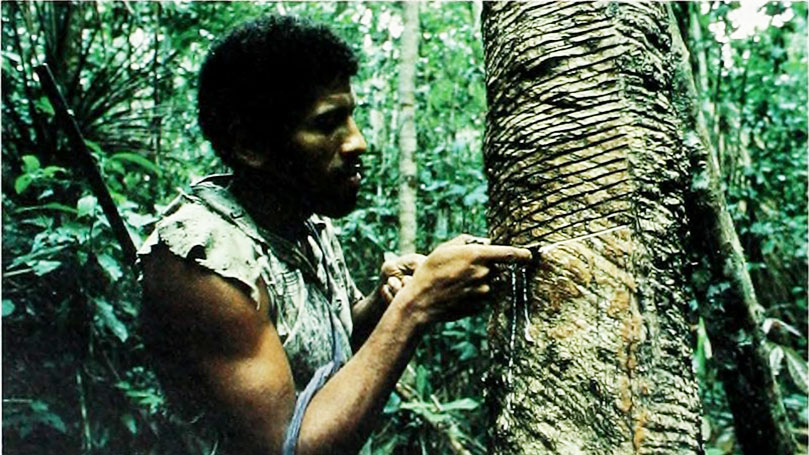The rubber industry: A history of exploitation