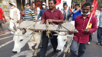 Solidarity with India’s farmers and workers!