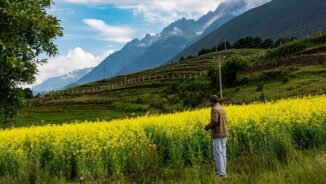 China: From hunger and famine to feeding everyone