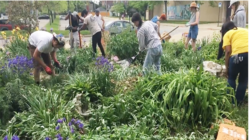 Rice Butterfly Memorial opens in honor of Tamir Rice – Communist Party USA