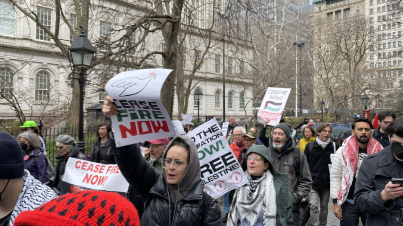 War and the ecological crisis