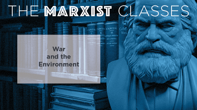 War and the environment